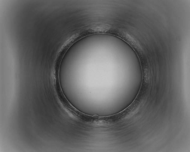 X0000112180634200908211500