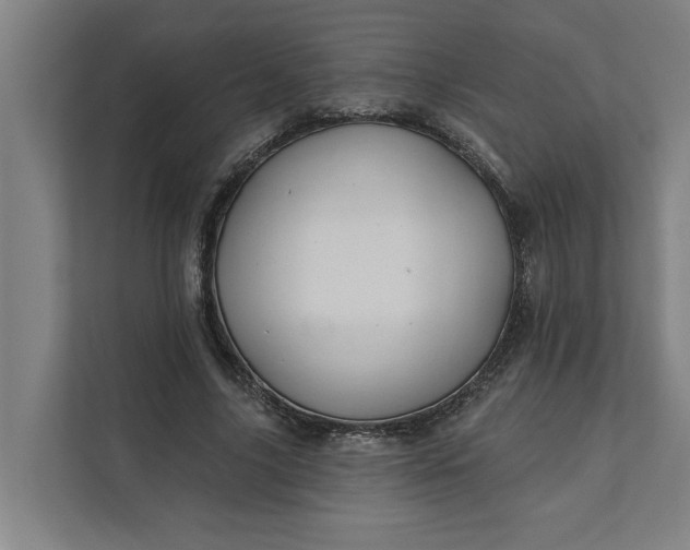 X0000112180635200908211501