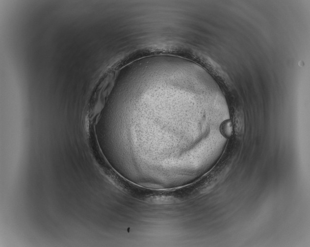 X0000112180637200908211501