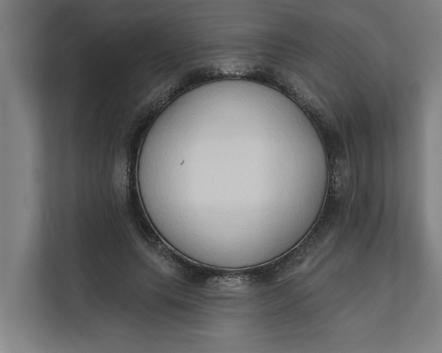 X0000112180639200908211501