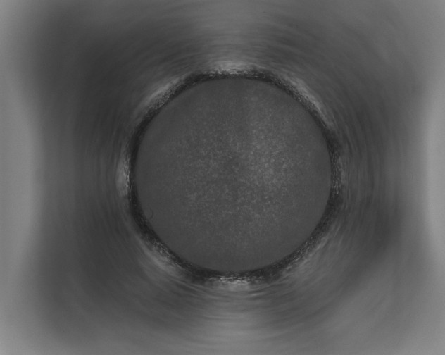 X0000112180640200908211501