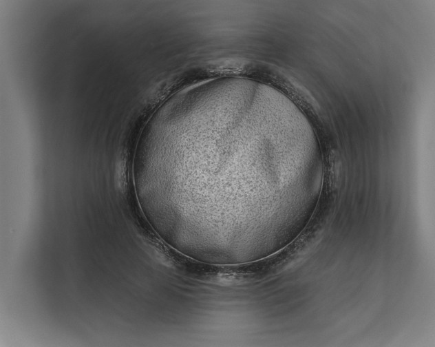 X0000112180641200908211501