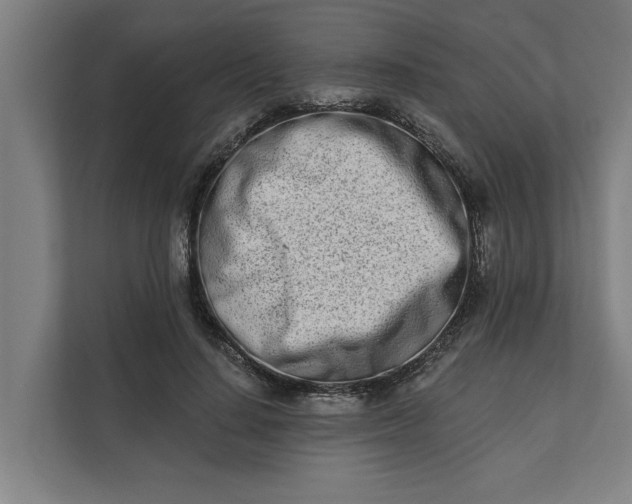 X0000112180644200908211501