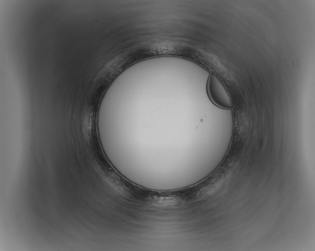 X0000112180645200908211501