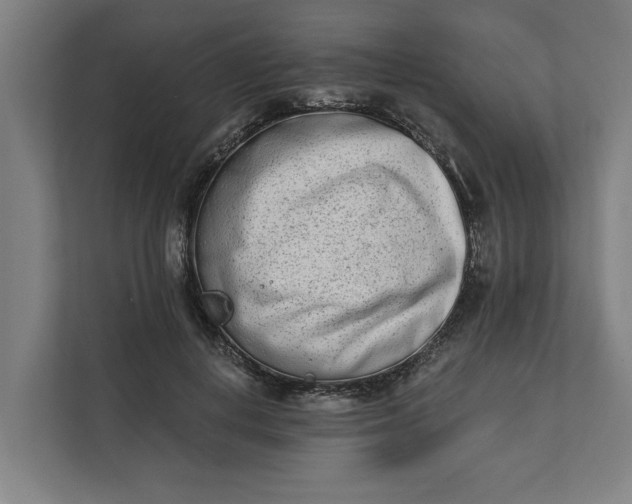 X0000112180648200908211501