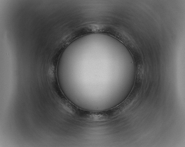 X0000112180650200908211501