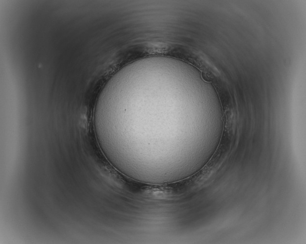 X0000112180655200908211501