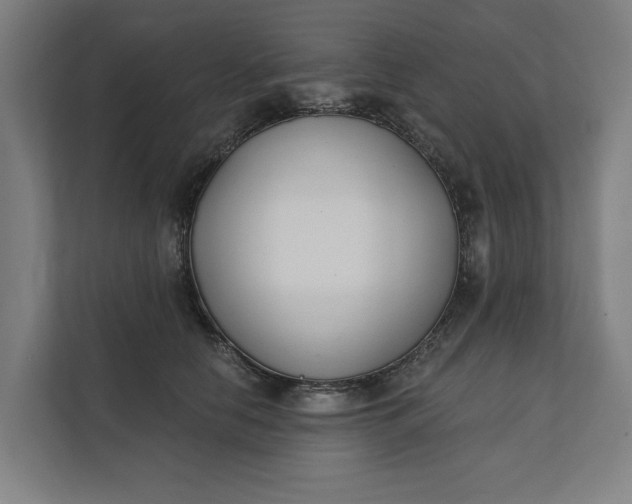 X0000112180658200908211501