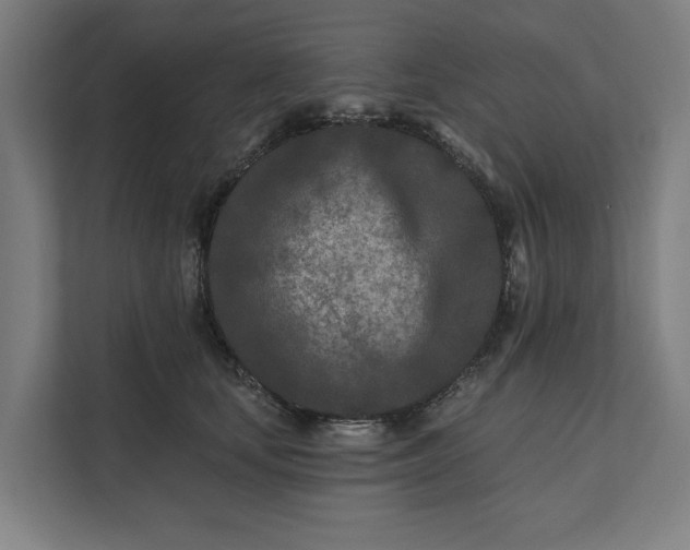 X0000112180659200908211501