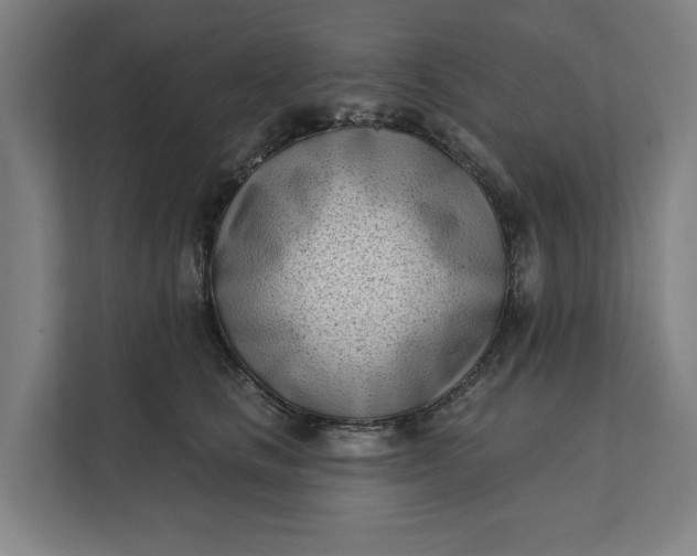 X0000112180661200908211501