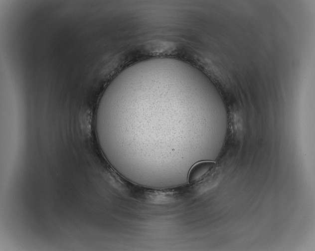 X0000112180664200908211501