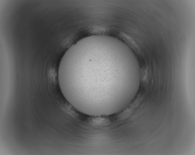 X0000112180669200908211501