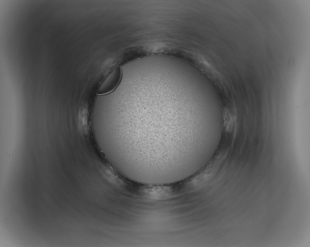 X0000112180670200908211501