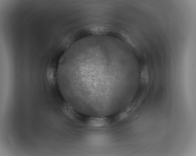 X0000112180671200908211501