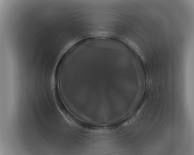 X0000112180674200908211500