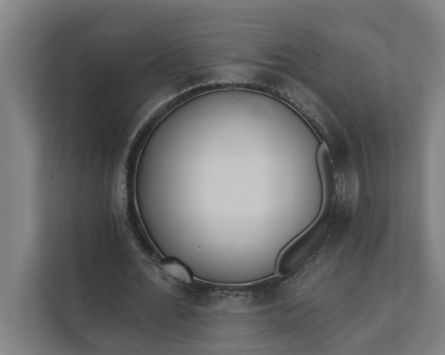 X0000112180676200908211500