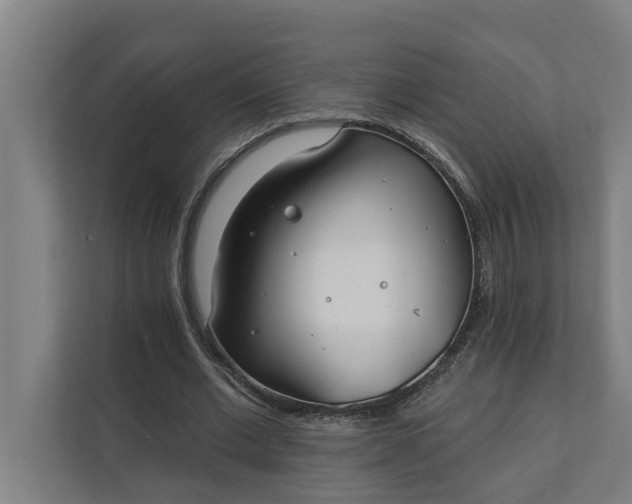 X0000112180677200908211500