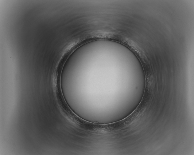 X0000112180679200908211500