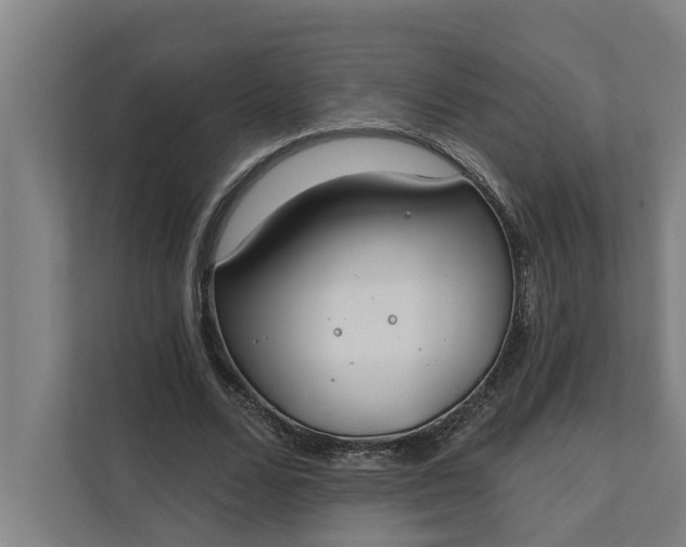 X0000112180680200908211500