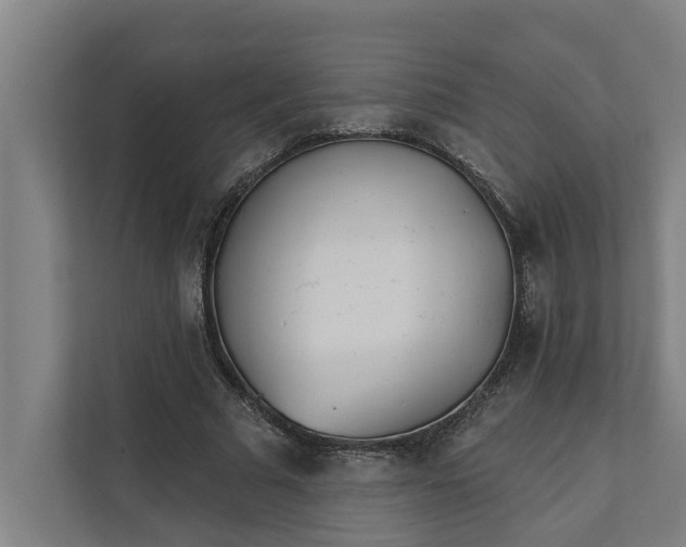 X0000112180681200908211500