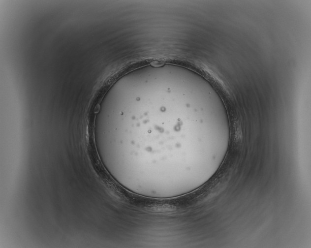 X0000112180685200908211500