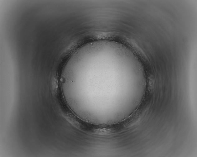 X0000112180691200908211500