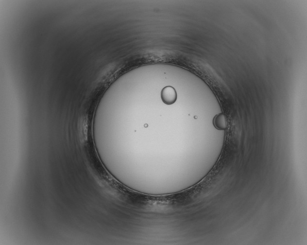 X0000112180694200908211500