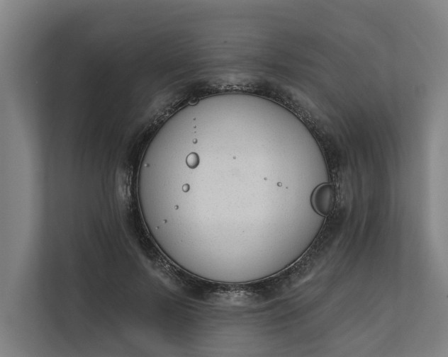 X0000112180695200908211500