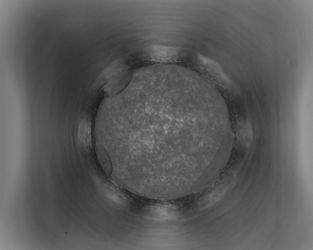 X0000112180696200908211500