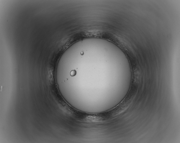 X0000112180699200908211500