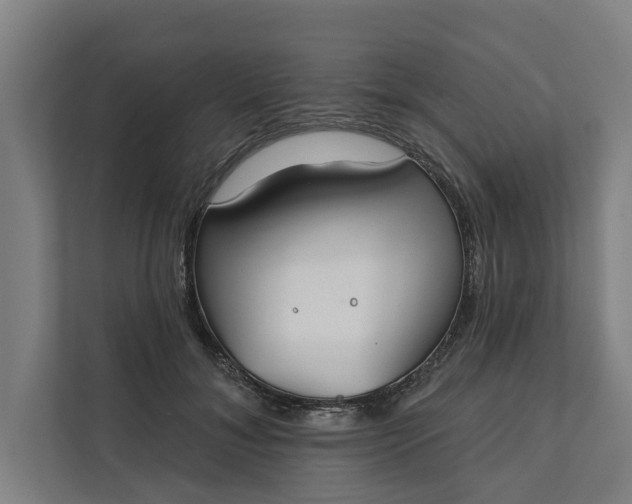 X0000112180700200908211500