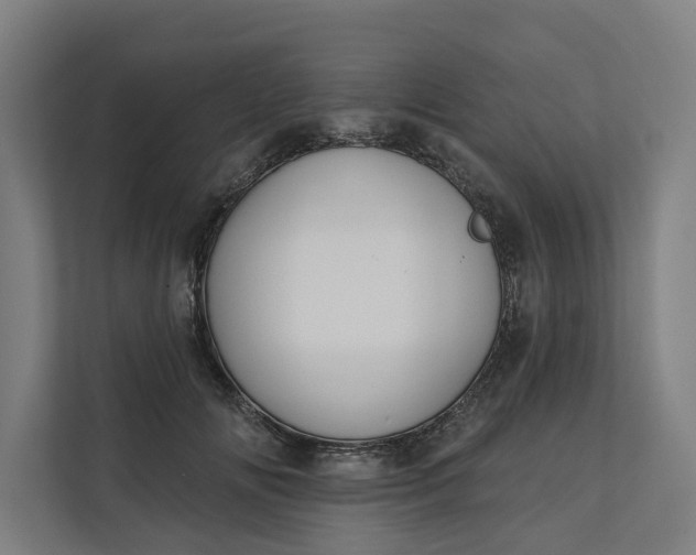 X0000112180702200908211500