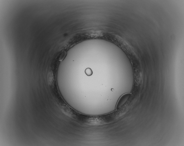 X0000112180704200908211500