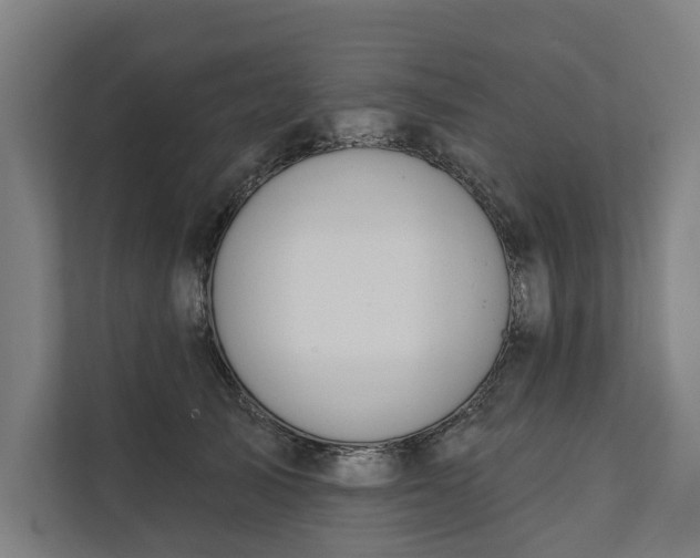 X0000112180705200908211500