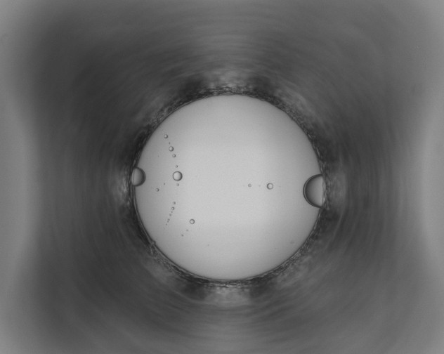 X0000112180709200908211500