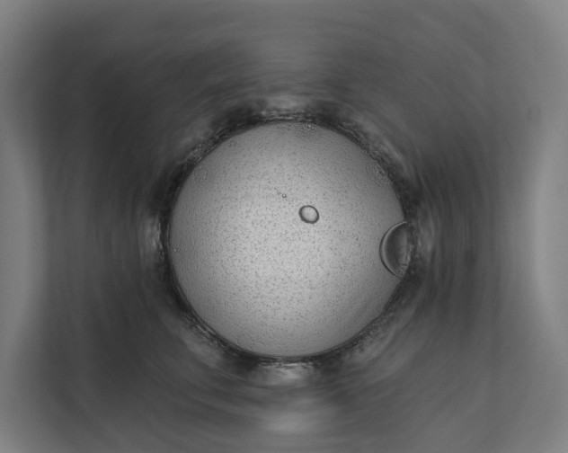 X0000112180711200908211500