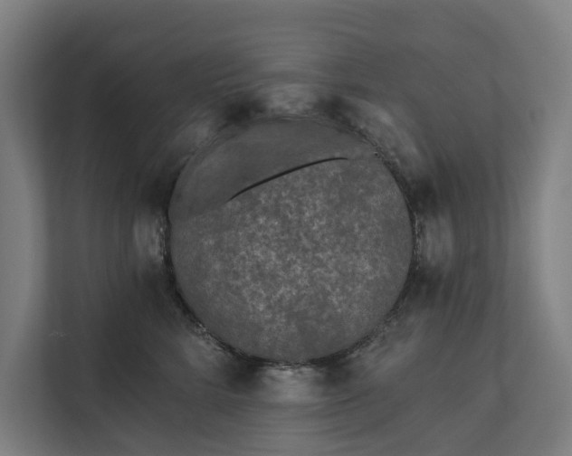 X0000112180712200908211500