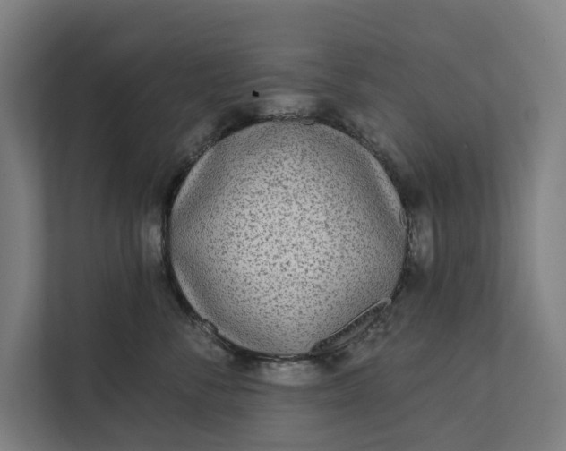 X0000112180716200908211500