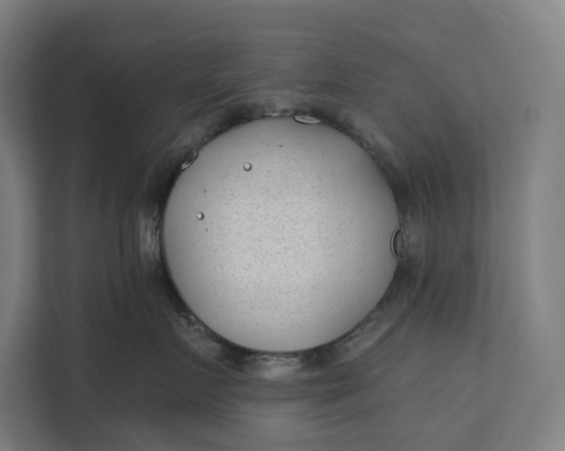 X0000112180719200908211500