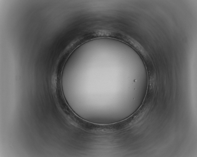 X0000112180722200908211459