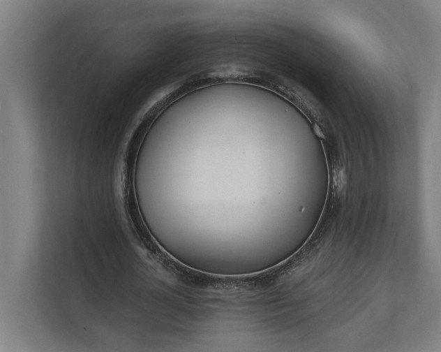 X0000112180724200908211459