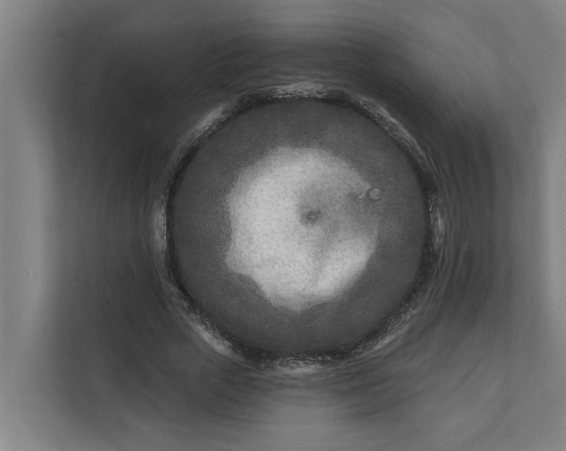 X0000112180729200908211459