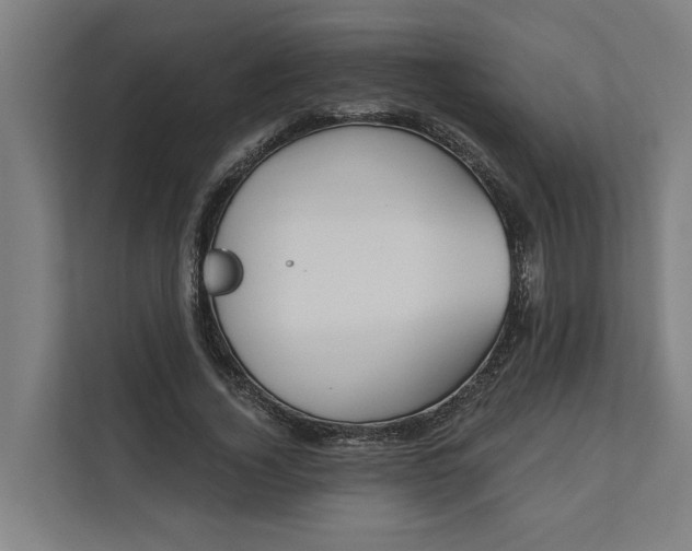 X0000112180732200908211459