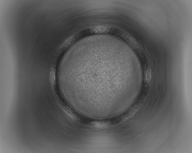 X0000112180733200908211459