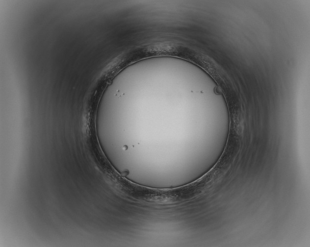 X0000112180735200908211459