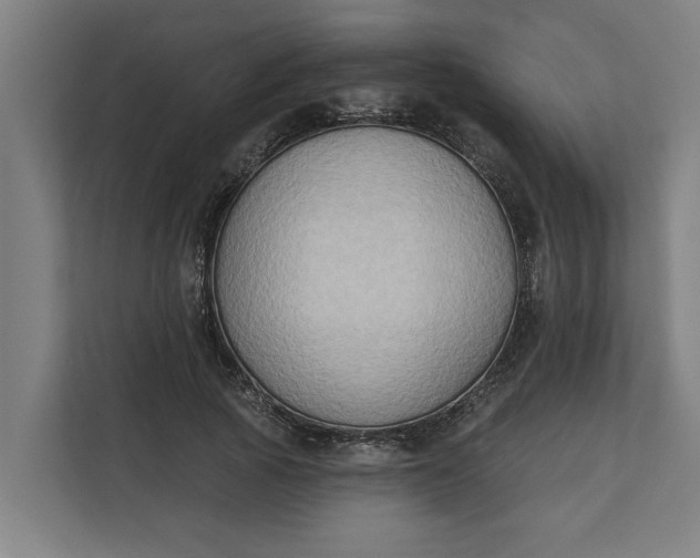 X0000112180737200908211459