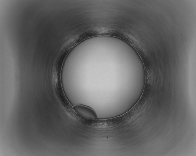 X0000112180740200908211459