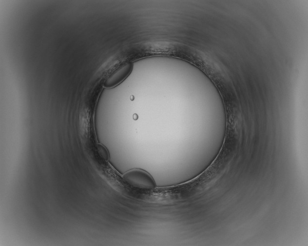 X0000112180744200908211459