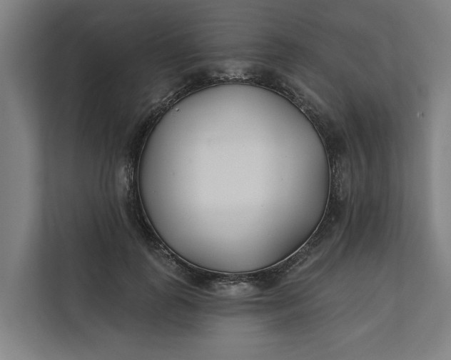 X0000112180747200908211459