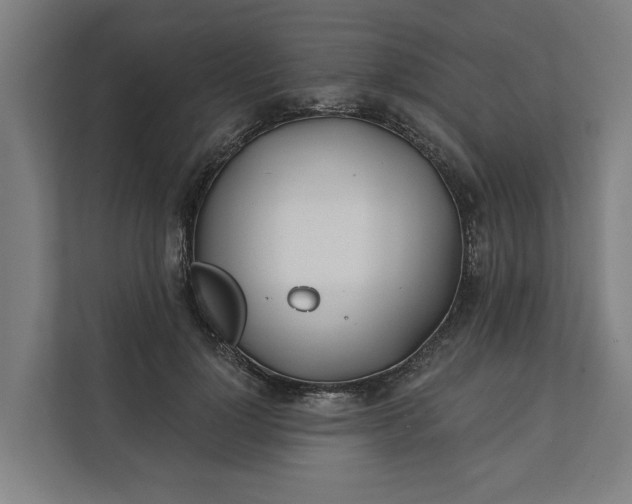 X0000112180748200908211459